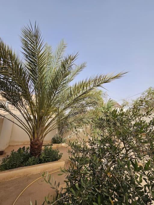 Hadhri Appartement Tozeur Exterior photo